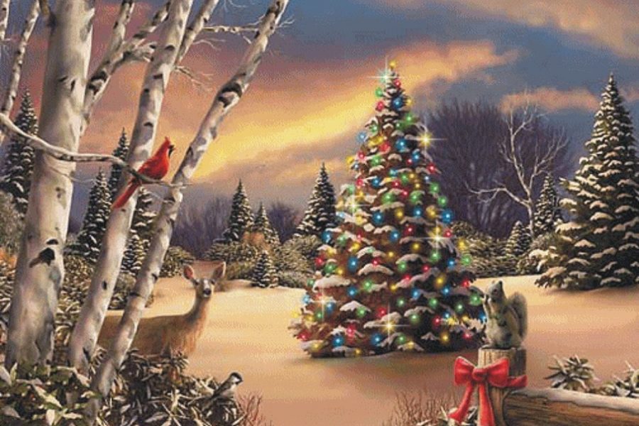 La storia dell’albero di Natale